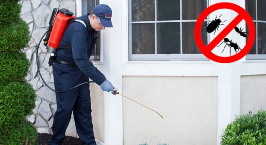Karayazı Kemirgen İlaçlama böcek ilaçlama ve haşere kontrolü — ilaclama-tr.com